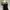 Luxury Evening dress Wanita black photo 2