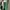 Casual Maxi dress Wanita green white photo 3