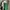 Casual Maxi Dress Wanita Green White