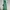 Casual Maxi dress Wanita green white photo 2