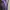 Luxury Prom dress Wanita purple black photo 6