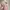 Casual Going out dress Wanita multicolor pink photo 4