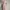 Casual Going out dress Wanita multicolor pink photo 1