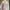 Casual Going out dress Wanita multicolor pink photo 5