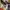 Luxury Scarf Pria multicolor photo 4