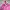 Japanese brand Streetwear Dungaree Wanita pink photo 5