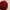 Kappa Y2K Sportswear Track jacket Pria burgundy photo 4
