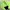 Diadora Y2K Sportswear Track jacket Pria green photo 3