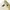Massimo Dutti buttonless waffle knitted ss polo shirt cream  photo 4