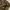 Gramicci Vintage Y2K Casual pants Pria tan brown photo 5