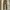 Gramicci Vintage Y2K Casual pants Pria tan brown photo 2