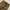 Gramicci Vintage Y2K Casual pants Pria tan brown photo 4