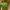 HI ! FOLLOW ME AND THIS photo 5