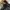 Fur padded jacket cornflake y2k photo 3