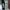  satifaction pants photo 4