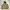 Browny Vintage Sst Wading Style Jacket