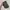 Ll bean anorak windbreaker cagoule jacket photo 8