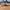 Skechers Streetwear Skater Sweatshirt Pria tan photo 3