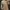 Skechers Streetwear Skater Sweatshirt Pria tan photo 2