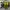 1 Of 1 Camo Pants Reworked