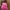 HI ! FOLLOW ME AND THIS photo 6