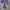 original dailybased jaket sherpa photo 7