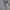 original dailybased jaket sherpa photo 6