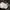 Cap Carhartt Logo White photo 3