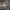 Converse gray speckled all Star  photo 6