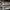 Converse gray speckled all Star  photo 3