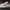 Converse Gray Speckled All Star 
