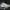Converse gray speckled all Star  photo 1