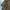 Back number casual big pocket  photo 6