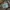 Back number casual big pocket  photo 5