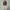 Back number casual big pocket  photo 8