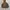 Back number casual big pocket  photo 1