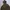 Back number casual big pocket  photo 2