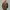 Back number casual big pocket  photo 7