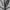 Nike Tech Fleece Windrunner Hoodie Heather grey photo 5