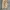 airwalk parachute baggy jeans photo 7