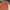 Vans SK 8 Hi Defcon Pasley photo 7