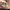 Vans SK 8 Hi Defcon Pasley photo 5