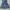 TRF Collection Mini Dress photo 1