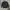 Crewneck Maison Kitsune Double Fox Charcoal