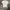 Tshirt Maison Kitsune Headfox White photo 1