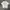 Tshirt Kenzo Valentine Flowers White photo 1