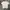Tshirt Maison Kitsune X Ader Error photo 1