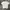 Tshirt Maison Kitsune X Ader Error