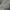 Hoodie Tommy Hilfifer Grey photo 1