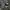 Nike Jordan Low  Wear Away
